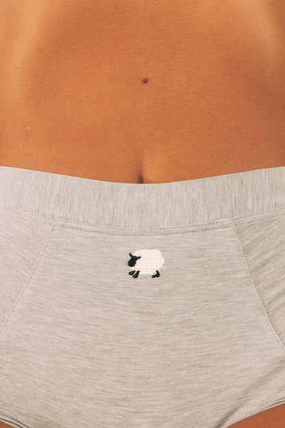 Brief