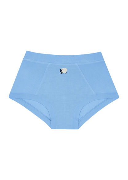 Brief